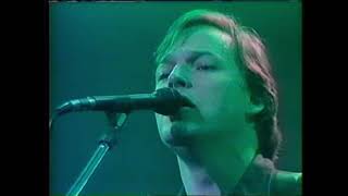 David Gilmour: David Gilmour Live (1984)