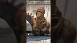 Agents In Cs2 Trapper Aggressor