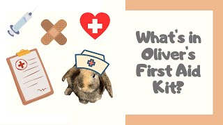 What s in my bunny s emergency kit First Aid Grooming for Rabbits