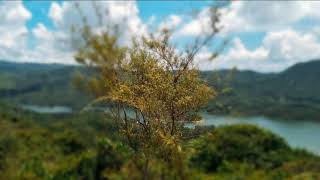 Mengikut Yesus - GMS