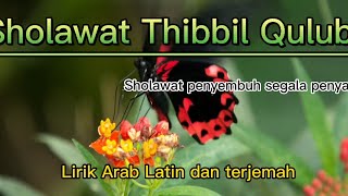 Sholawat Thibil Qulub ( Sholawat penyembuh Segala penyakit ) طِبِّ الْقُلُوْبِ
