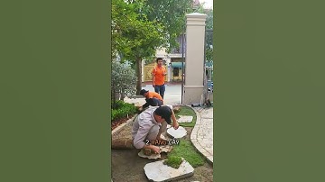 Thiết kế thi công sân vườn cho biệt thự phong cách bán Châu Âu  #thicongsanvuon #zions