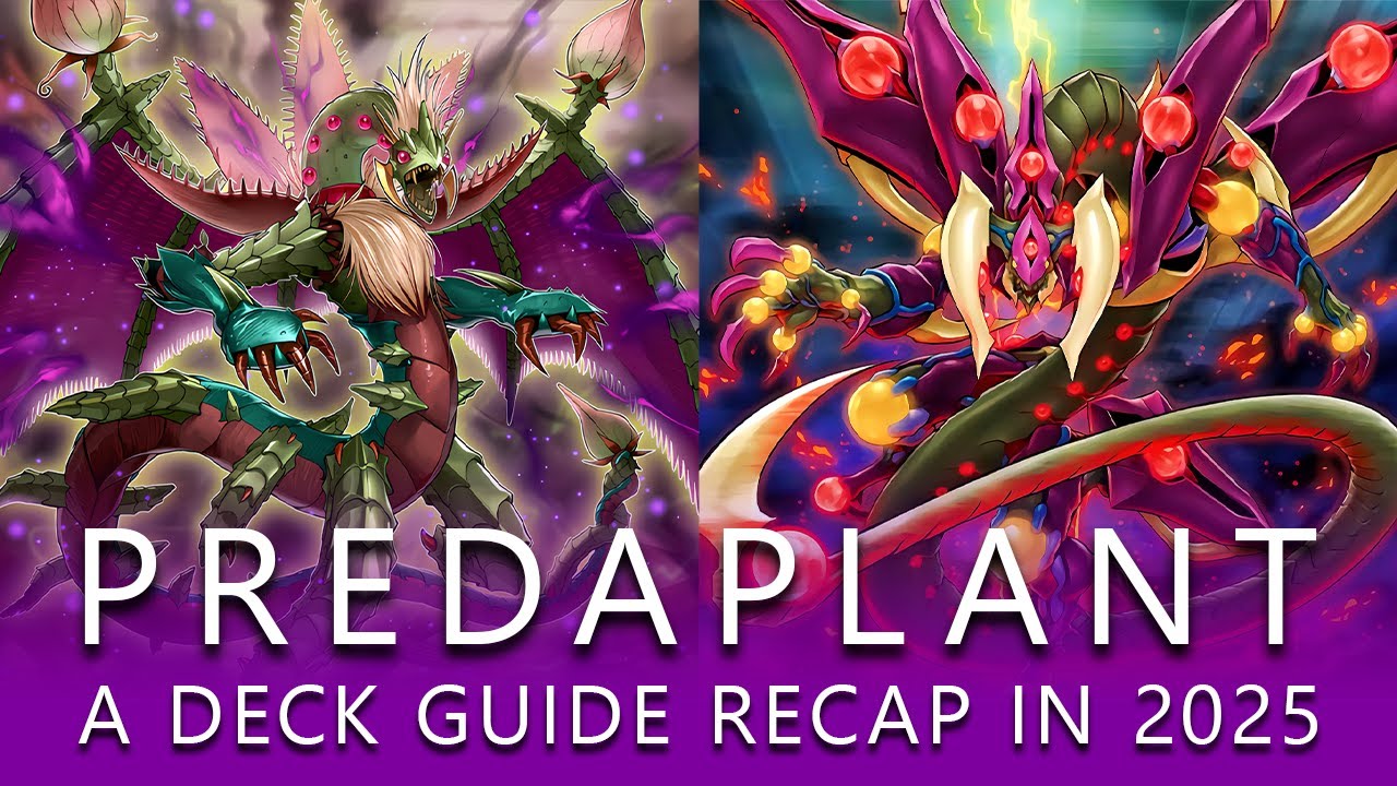 PREDAPLANT: DECK GUIDE RECAP IN 2025!