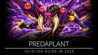 Predaplant Archetype Breakdown in 2025 | Yu-Gi Oh! Card Game | Master Duel