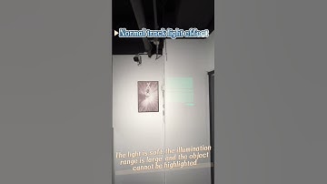 🌟 Normal track Light vs. Framing projector light: The Ultimate Lighting Showdown! 🌟 #lightingdesign