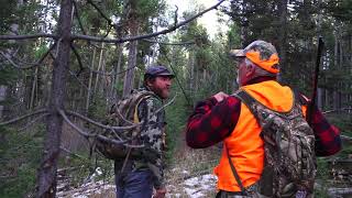 al elk hunt
