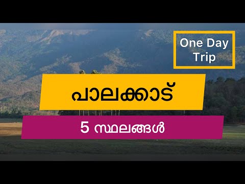 One day trip to Palakkad | പാലക്കാടേക്ക് ഒരു ദിവസ യാത്ര നടത്താം | Malayalam | Indian Yatra | Guide