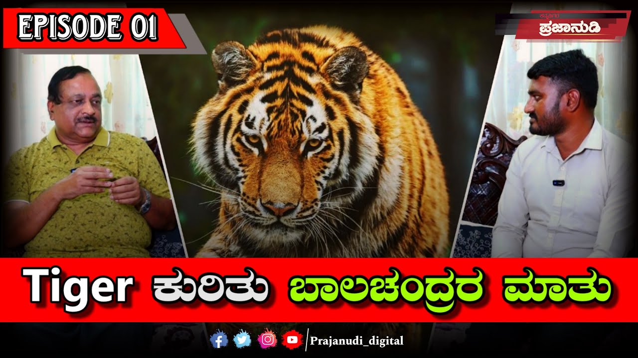 Tiger ಕುರಿತು ಬಾಲಚಂದ್ರರ ಮಾತು...