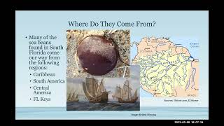 Conservation Conversations: Wednesday, February 8, 2023. Traveling Sea Beans.