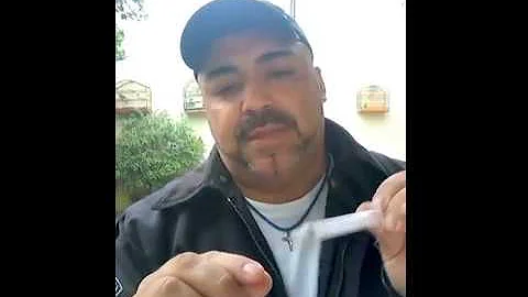 Como fazer a Maritaca comer sozinha?