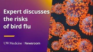 Infectious-diseases expert discusses bird flu concerns