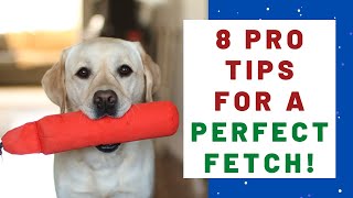 How To Train ANY dog to Fetch PERFECTLY!! (Part II) by Training Positive 16,373 views 3 years ago 5 minutes, 34 seconds