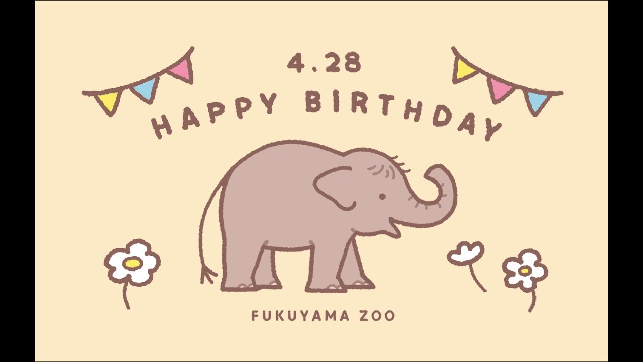 ボルネオゾウ ふくちゃん 24歳のお誕生日 Fuku chan's 24th birthday