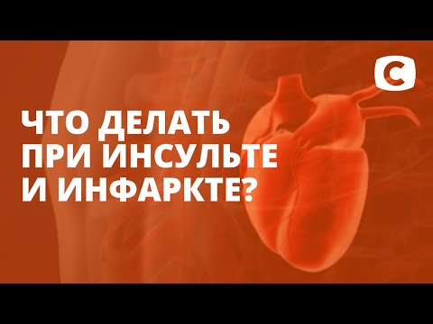 Видео: Кучешки инсулт Симптоми, причини и лечение