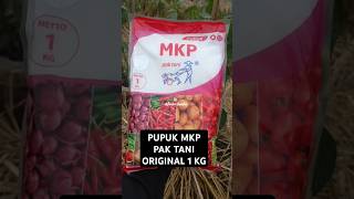 Original Pak Tani MKP Fertilizer 1 kg #mkp #mkpfertilizer #mkppaktani #mkp1kg
