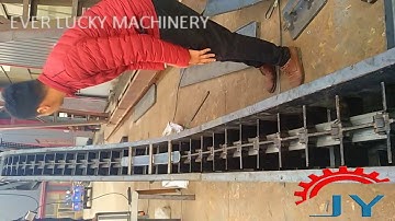 scraper conveyor -Ever Lucky Machinery-Anna Chang