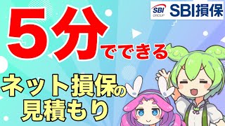 【自動車保険】簡単！ネット型損保の見積もり方法を画像付きで解説！【SBI損保】