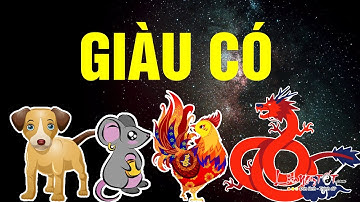 4 Con Giáp Khổ Trước Sướng Sau Hậu Vận Giàu Sang Phú Quý Khó Ai Sánh Bằng - Tử Vi 12 Con Giáp