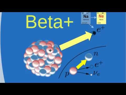 Video: Was passiert mit einem Element beim Betazerfall?