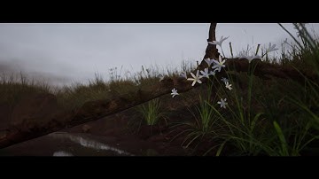 Swamp- Unreal Engine 4 environment 60FPS