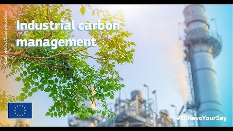 Industrial carbon management: Results of the public consultation