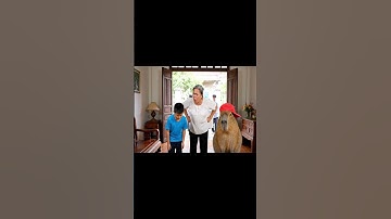 Capy cùng anh giúp bà tiết kiệm điện và cái kết #capybara #vuive #giaitri #cuocsongcuacapy