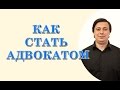 как стать адвокатом