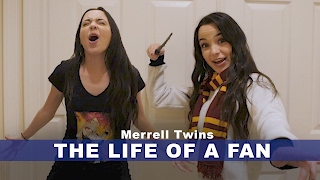 THE LIFE OF A FAN  Merrell Twins