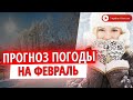 Прогноз погоды на февраль 2021 от Укргидрометцентра