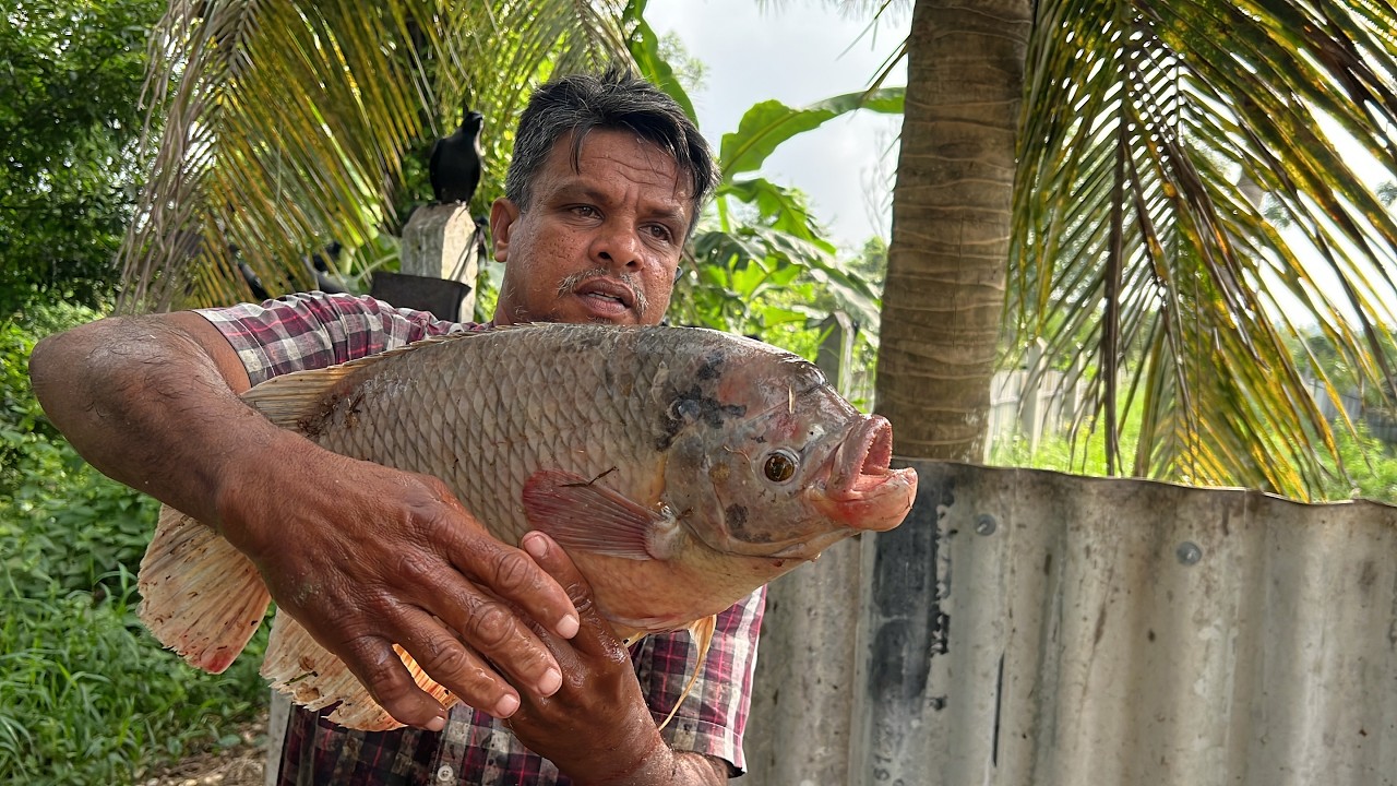 Hidden Lives! Discover the Secret World of Sri Lanka’s Rural Fish Market & Street Village Life