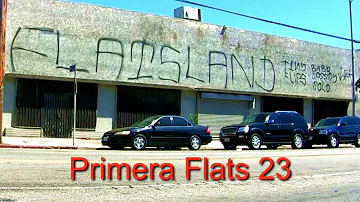 Gang Lands # 7 First Flats 23