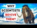 You'll Probably See Mammoths Walking Around in Near Future