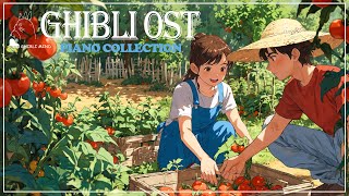 Exploring the Enchantment of Studio Ghibli's Music beautiful melodies  deeply moving compositions