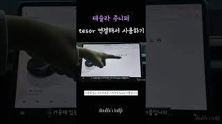 (실습) tesor 어플 테슬라 주니퍼에 연결해보기 (tesla model y juniper)
