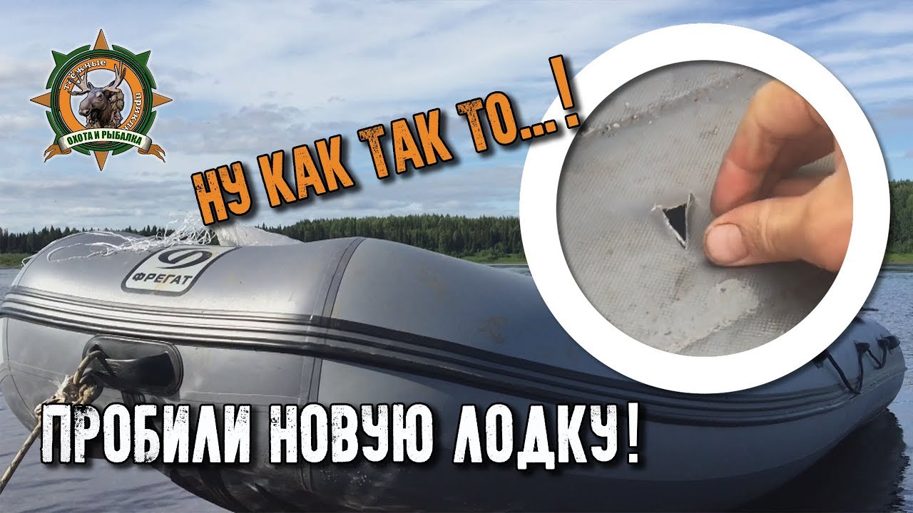 Топят печку рыбой Топят печку рыбой