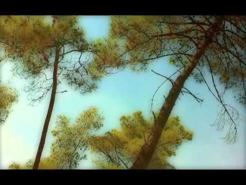 CPE BACH cello Concerto No. 1 in A minor, Wq 170, Akademie für alte Musik Berlin
