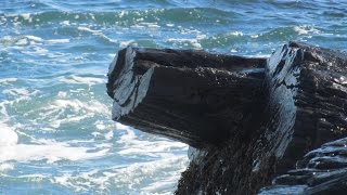 Cannon Rock at high tide - 26, III. 2016 (named & painted by Winslow Homer)