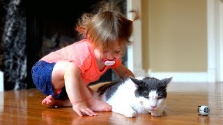 Baby Loves Her Kitty  Too Cute!!!