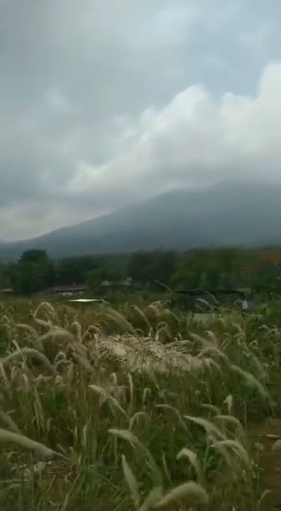 Pemandangan indah gunung ungaran #aesthetic #pemandangan #pegunungan #shorts #short #viral #storywa