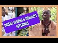 Orishaorisa olokun  obaluaye offerings  how orisha judge evildoersa babalawo in nigeria explains