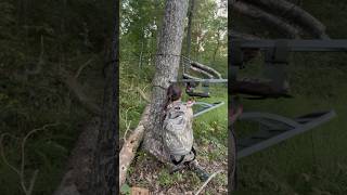 Come Put A Tree Stand Climber Together With Me