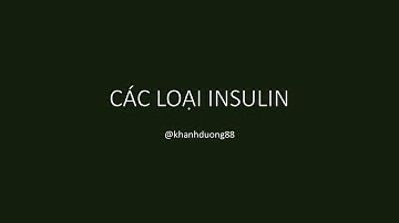 Video 6 - Các loại insulin