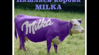 #16 Нашлась корова MILKA.(Немного веселья ;) А вы видели фиолетовую корову Milka? 