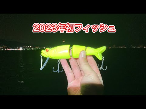 The first fish of 2023 was a Tobikichi Techro! [Lake Biwa