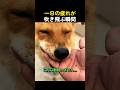 一日の疲れが吹き飛ぶ瞬間