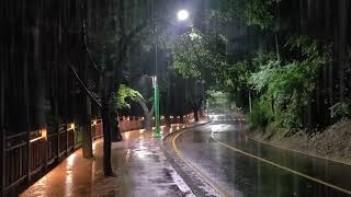 The sound of rain that puts you to sleep in 3 minutes. Walking on a rainy walk. healing,study sound