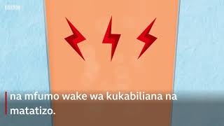 Jinsi pombe inavyoathiri jeni zako na kukupa hamu ya kubugia zaidi