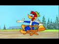 Director Woody Woody Woodpecker 