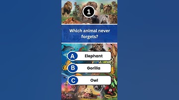 Animal Quiz Part 8 #animalquiz #gkquiz #shorts