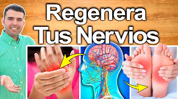 ¿Cuánto tardan en repararse los nervios dañados?